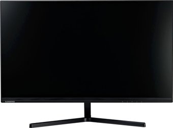 Монитор SunWind SUN-M24BG110