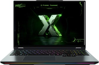 Ноутбук Maibenben X-Treme Tsunami X16E X16E-R99558NQSHBRE0
