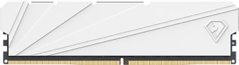 Модуль памяти Netac Shadow S 16ГБ DDR4 2666 МГц NTSDD4P26SP-16W