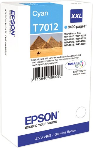 Картридж Epson C13T70124010