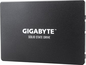 SSD Gigabyte 1TB GP-GSTFS31100TNTD